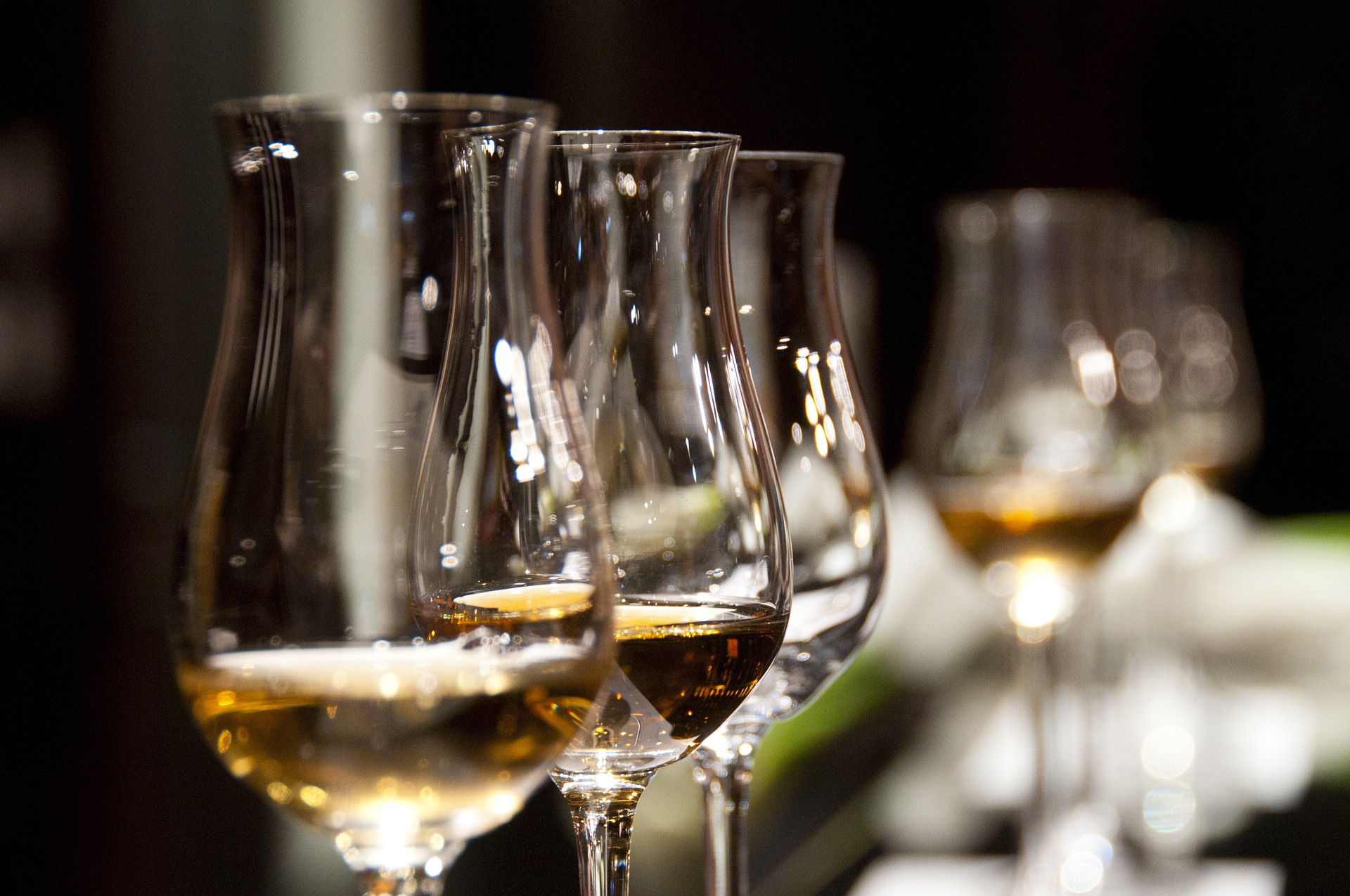 Que cuisiner avec un reste de vin blanc