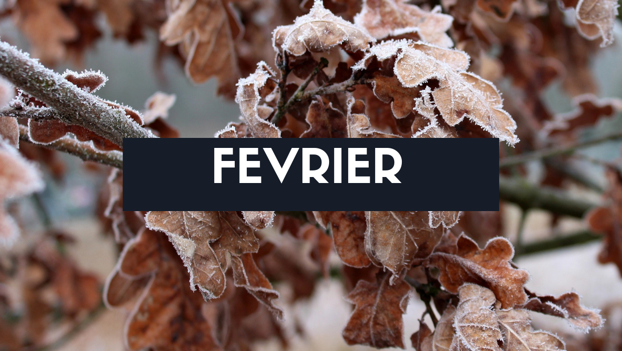 Fruits, légumes et recette du mois de février