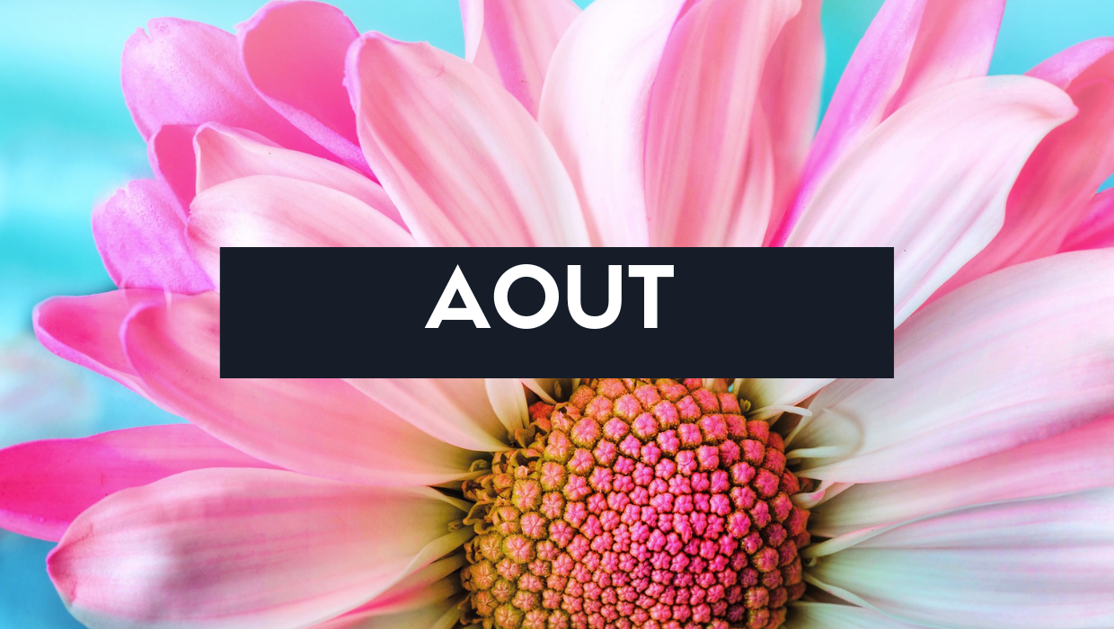 Fruits, légumes et recette du mois d'aout