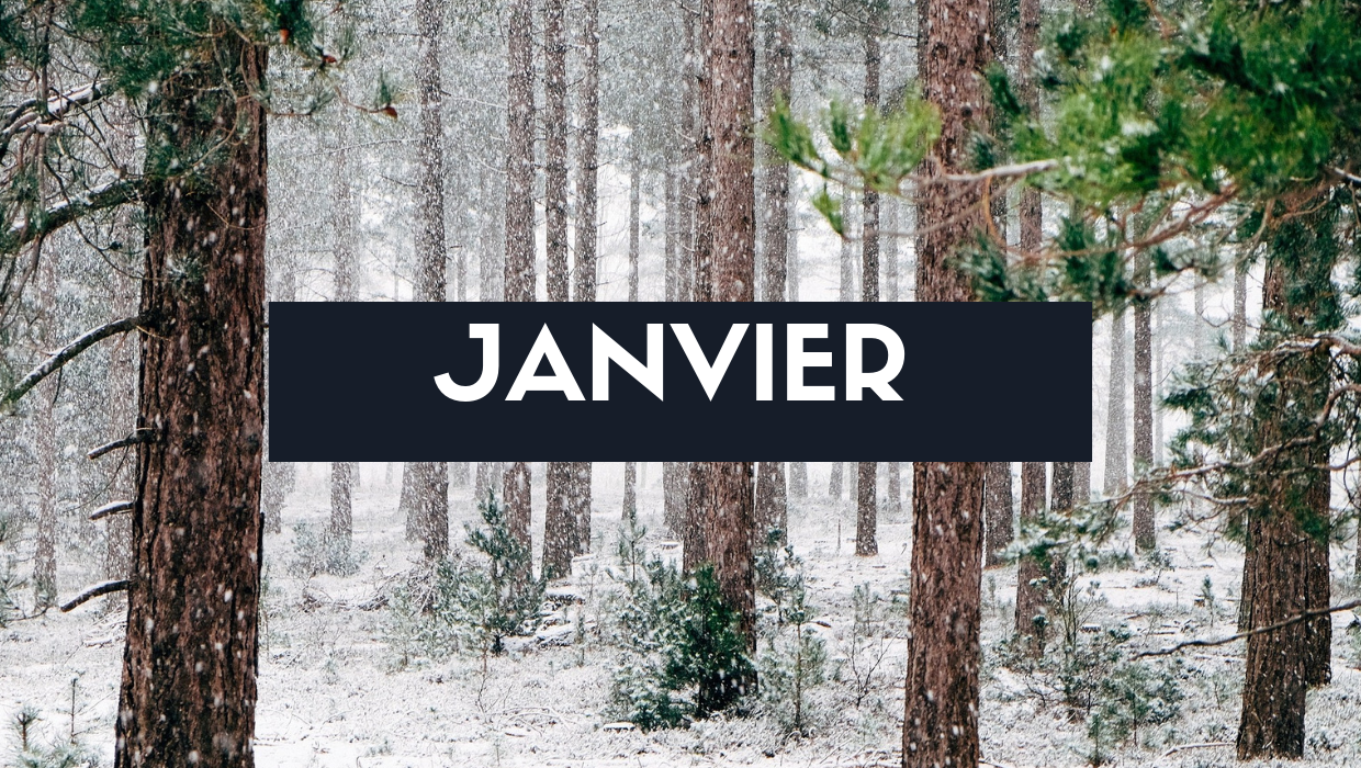 Fruits, légumes et recette du mois de janvier