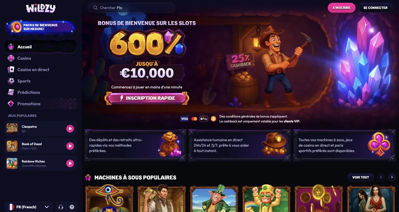 le meilleur casino en ligne toutes catégories, aperçu de la plateforme Wildzy